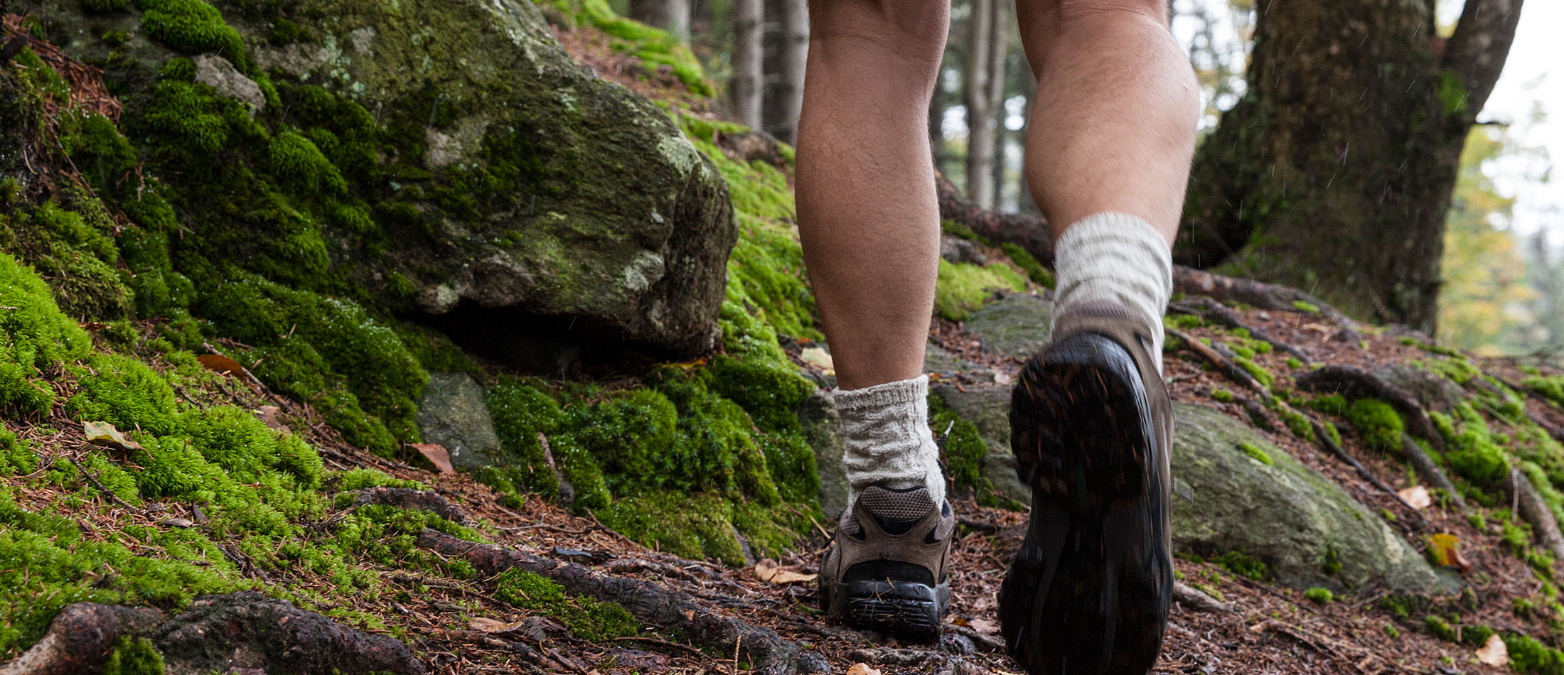 Urlaub im Bayerischen Wald